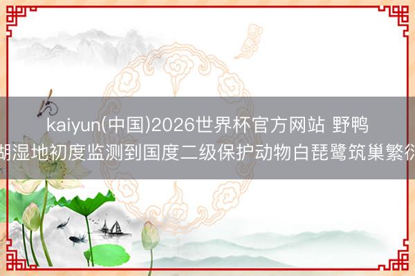kaiyun(中国)2026世界杯官方网站 野鸭湖湿地初度监测到国度二级保护动物白琵鹭筑巢繁衍