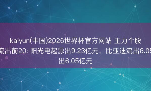 kaiyun(中国)2026世界杯官方网站 主力个股资金流出前20: 阳光电起源出9.23亿元、比亚迪流出6.05亿元